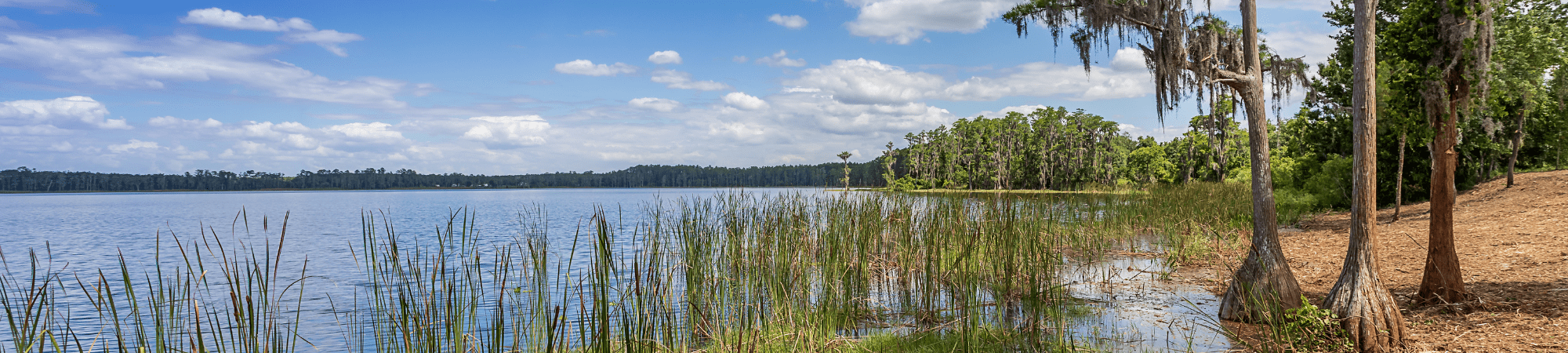 Asian Jobs Worldwide Loviisa